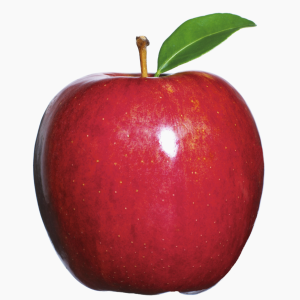 Apple Sticker